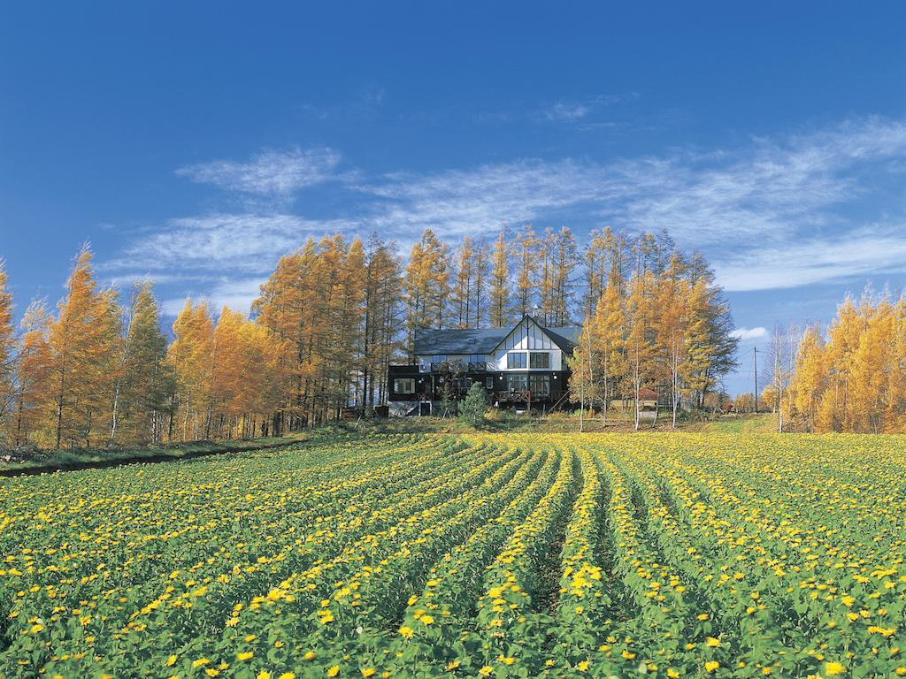 Adagio Hokkaido Hotel Biei Luaran gambar